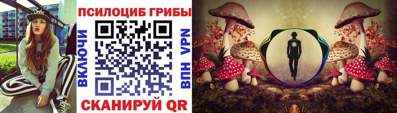 Псилоцибиновые грибы MAGIC MUSHROOMS  Купить закладки  Темников 